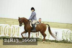 24R13_16608 thumbnail
