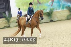 24R13_16609 thumbnail