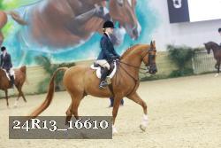 24R13_16610 thumbnail