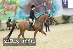 24R13_16611 thumbnail
