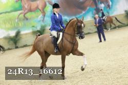 24R13_16612 thumbnail