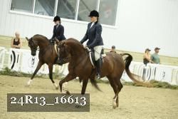 24R13_16613 thumbnail