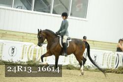 24R13_16614 thumbnail