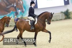24R13_16615 thumbnail