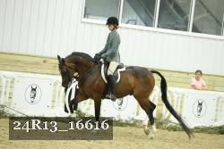 24R13_16616 thumbnail
