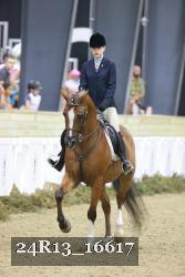 24R13_16617 thumbnail