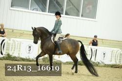 24R13_16619 thumbnail