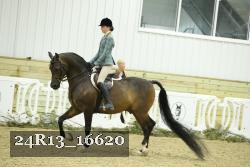 24R13_16620 thumbnail