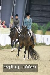 24R13_16621 thumbnail