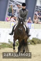 24R13_16625 thumbnail