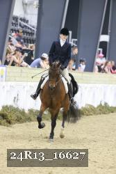 24R13_16627 thumbnail