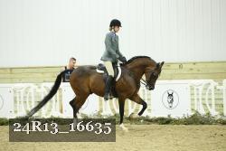 24R13_16635 thumbnail
