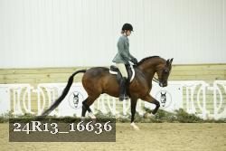 24R13_16636 thumbnail
