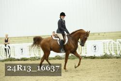 24R13_16637 thumbnail
