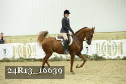 24R13_16639 thumbnail