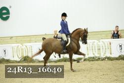 24R13_16640 thumbnail