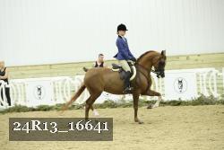 24R13_16641 thumbnail