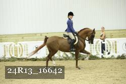 24R13_16642 thumbnail