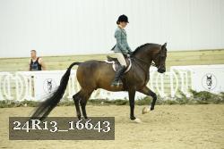 24R13_16643 thumbnail