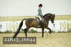24R13_16644 thumbnail