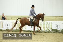 24R13_16646 thumbnail