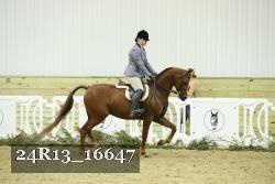 24R13_16647 thumbnail