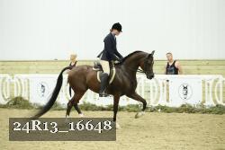 24R13_16648 thumbnail