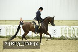 24R13_16649 thumbnail
