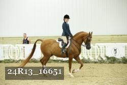 24R13_16651 thumbnail