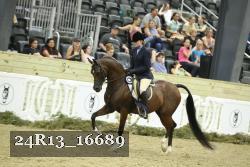 24R13_16689 thumbnail