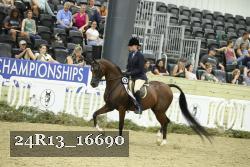 24R13_16690 thumbnail