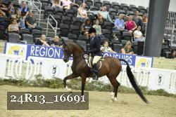24R13_16691 thumbnail