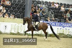 24R13_16692 thumbnail