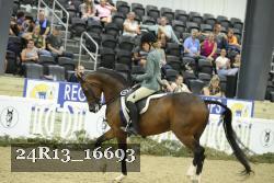 24R13_16693 thumbnail