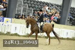 24R13_16695 thumbnail