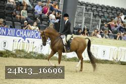 24R13_16696 thumbnail