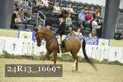 24R13_16697 thumbnail