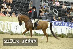 24R13_16698 thumbnail