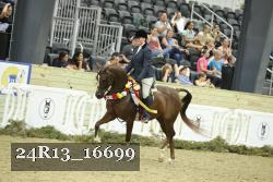 24R13_16699 thumbnail