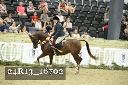 24R13_16702 thumbnail