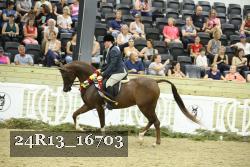 24R13_16703 thumbnail