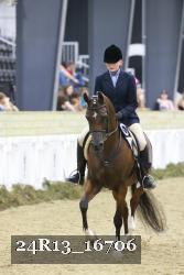 24R13_16706 thumbnail
