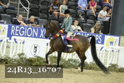 24R13_16707 thumbnail