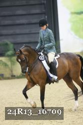 24R13_16709 thumbnail