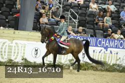 24R13_16710 thumbnail