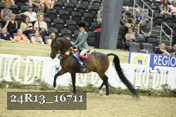24R13_16711 thumbnail
