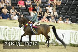 24R13_16712 thumbnail