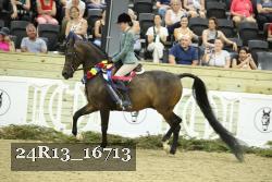 24R13_16713 thumbnail