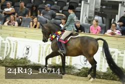 24R13_16714 thumbnail