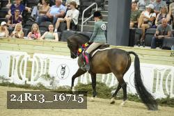 24R13_16715 thumbnail